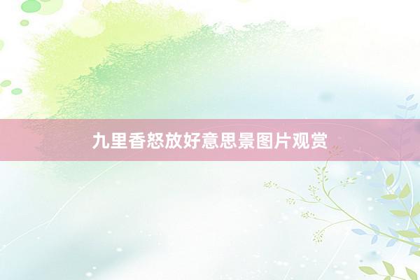 九里香怒放好意思景图片观赏