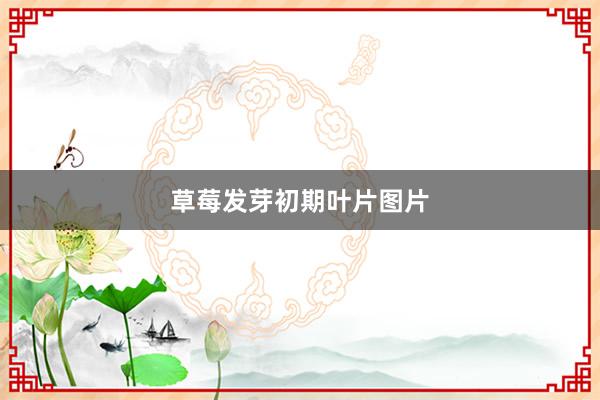 草莓发芽初期叶片图片