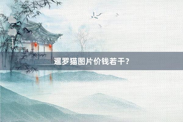 暹罗猫图片价钱若干？