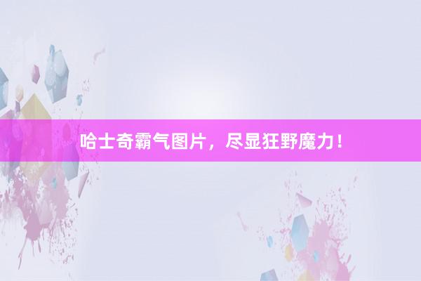 哈士奇霸气图片，尽显狂野魔力！