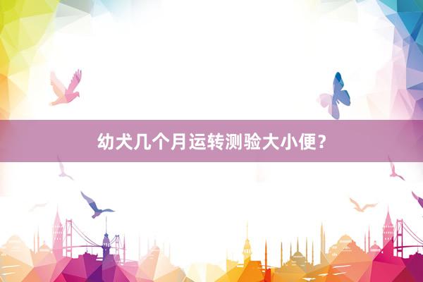 幼犬几个月运转测验大小便？