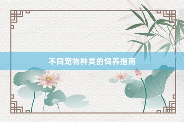 不同宠物种类的饲养指南