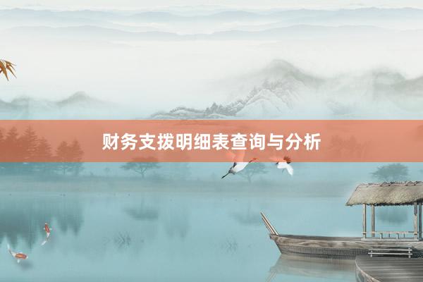 财务支拨明细表查询与分析